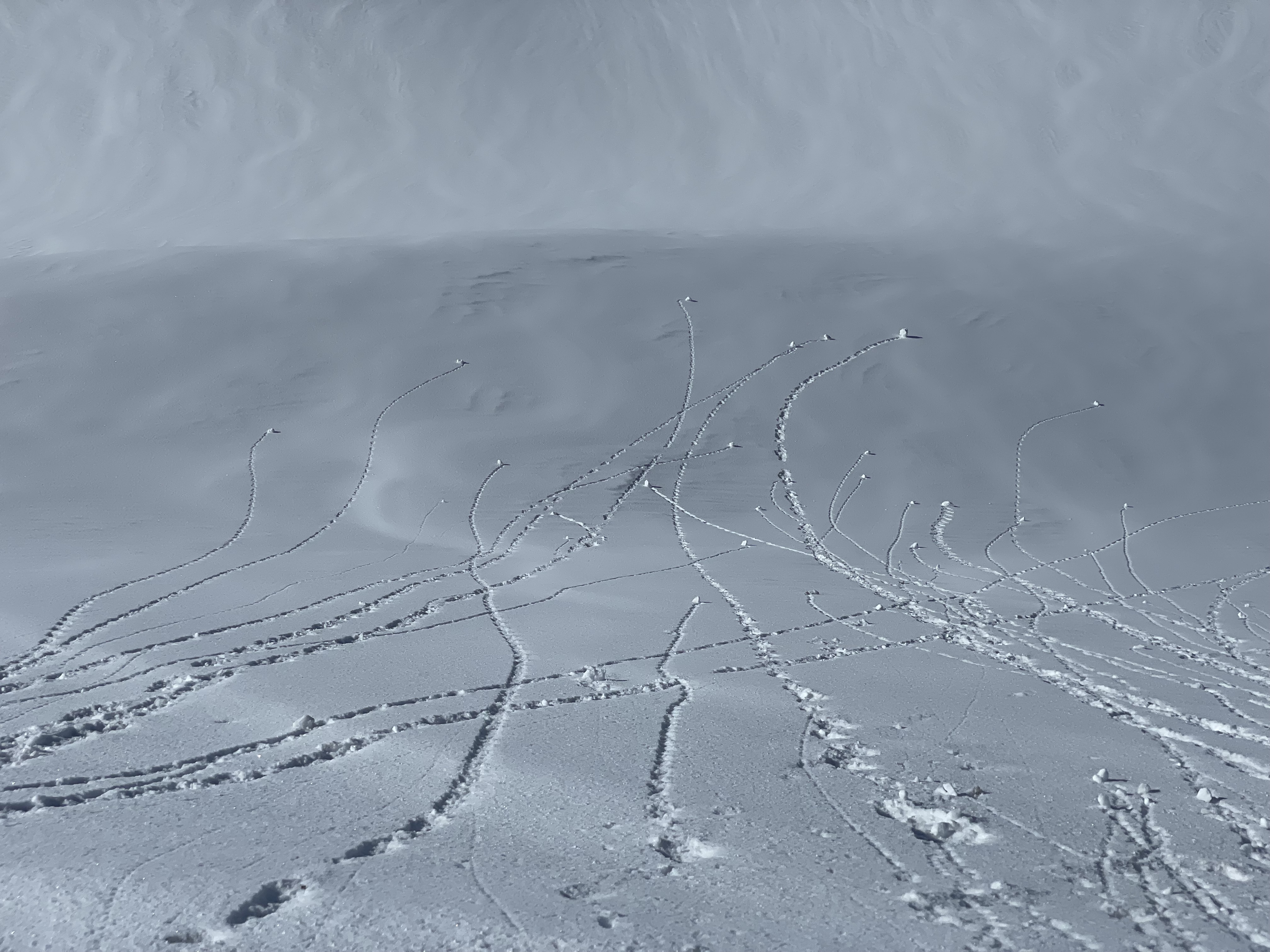 Great Sand Dunes National Park