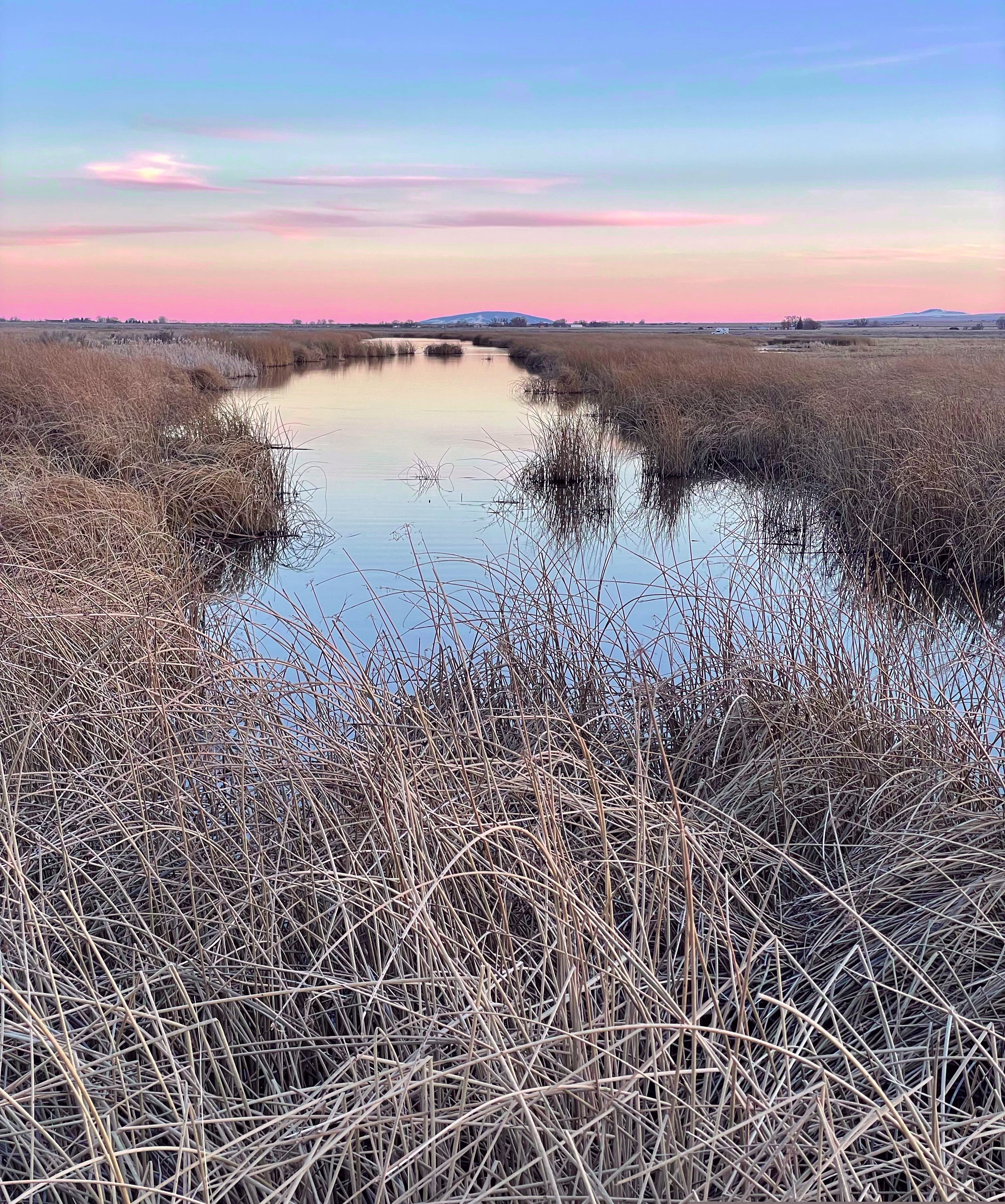 Monte Vista National Wildlife Refuge